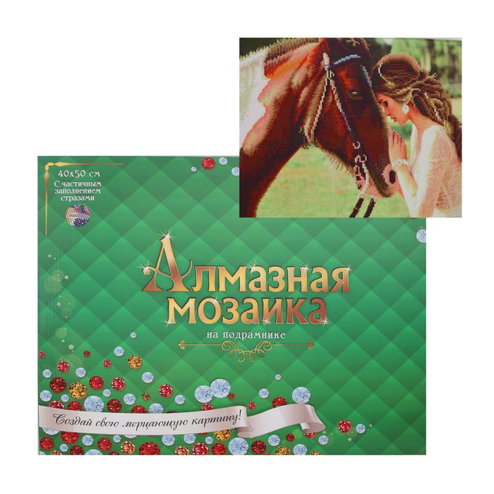 Алмазная мозаика блестящая 40х50 см, с частичным заполнением, 24 цветов «Прекрасная девушка и лошадь»