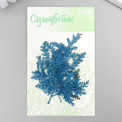 Сухоцвет "Лист папоротника" синий