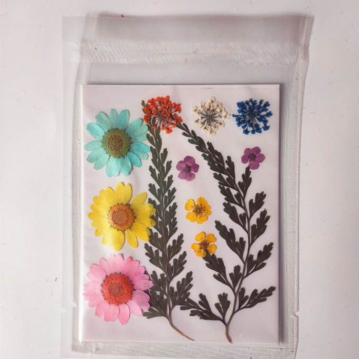 Набор сухоцветов "Микс разные цветочки и веточки" 