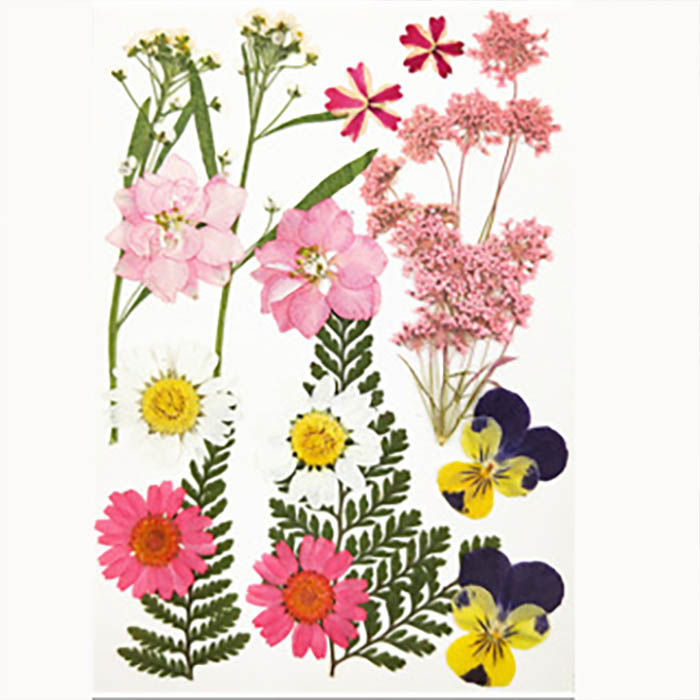 Набор сухоцветов "Микс разные цветочки и веточки" ,большой набор 