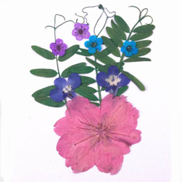 Набор сухоцветов "Розовые,синие,сиреневые и голубые цветы и веточки"    