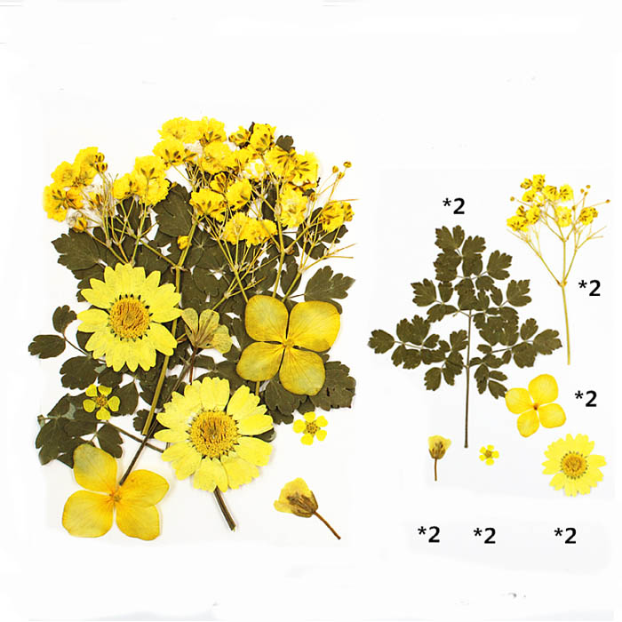 Набор сухоцветов "Микс желтых цветов с листьями"   