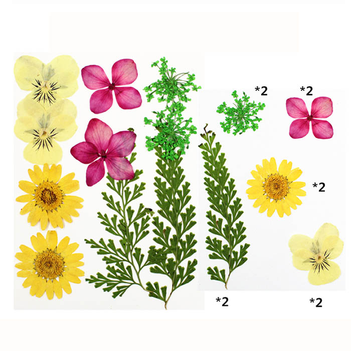 Набор сухоцветов "Желтые,красные, зеленые цветы и веточки"