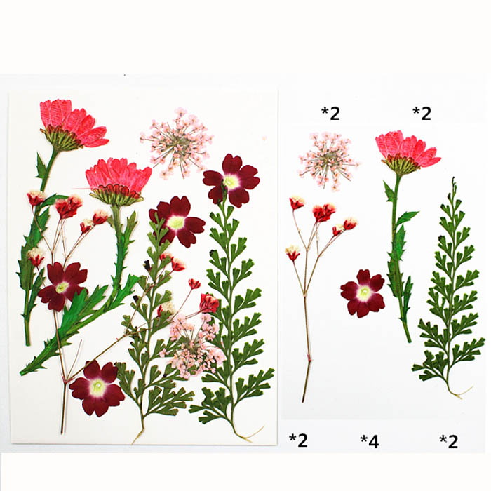 Набор сухоцветов "Красные, розовые цветы и веточки"