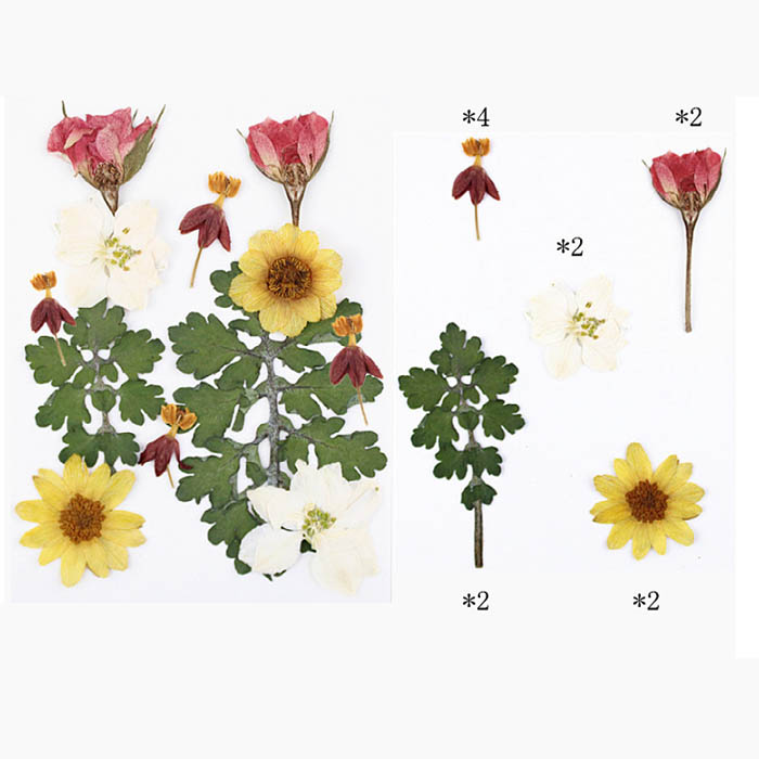 Набор сухоцветов "Желтые,белые ,розовые цветы и веточки" 