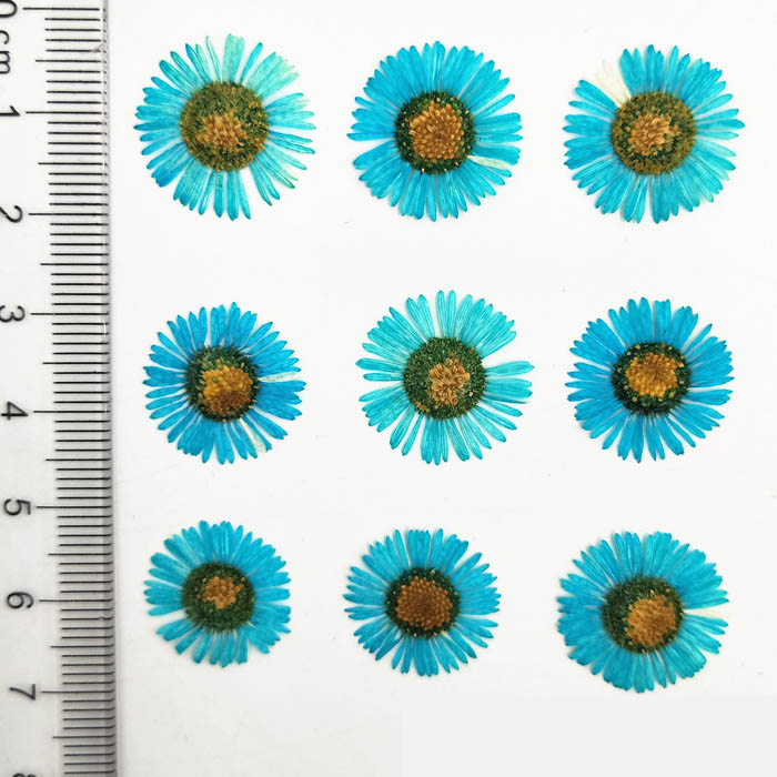Набор сухоцветов "Бирюзовые цветочки",размер 1.5-2 см,12 штук   