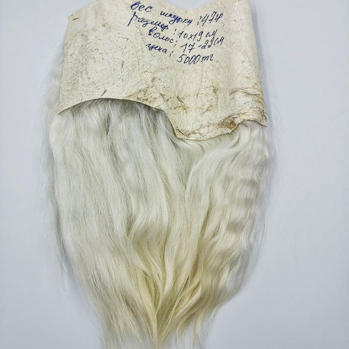Шкурка ангорской козы белая,19х10 см,вес 47 гр,волос 17-23 см  - 1
