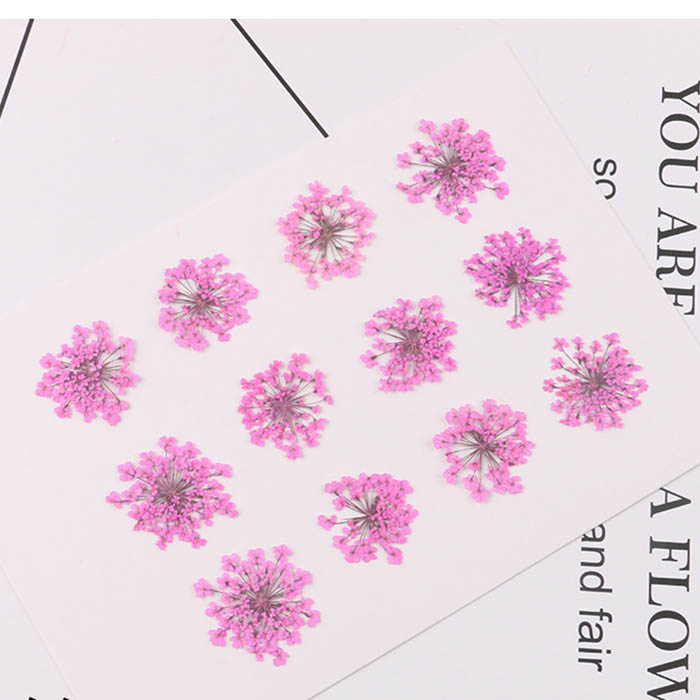 Сухоцвет "Розовые цветы", 20-25 мм  
