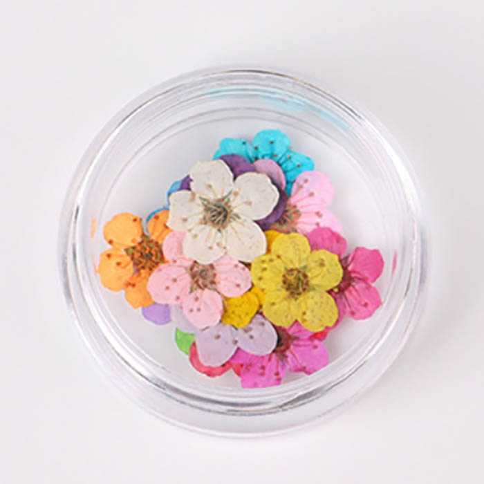 Сухоцвет "Яркие мелкие цветочки", 9 мм 