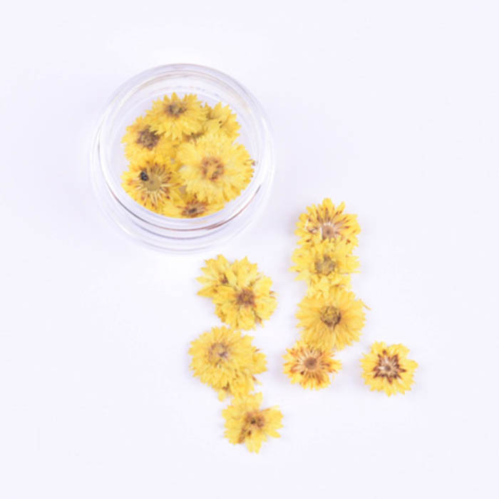 Сухоцвет "Желтые мелкие цветочки", 10 мм  