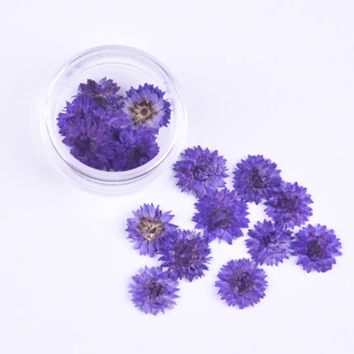 Сухоцвет "Фиолетовые мелкие цветочки", 10 мм   