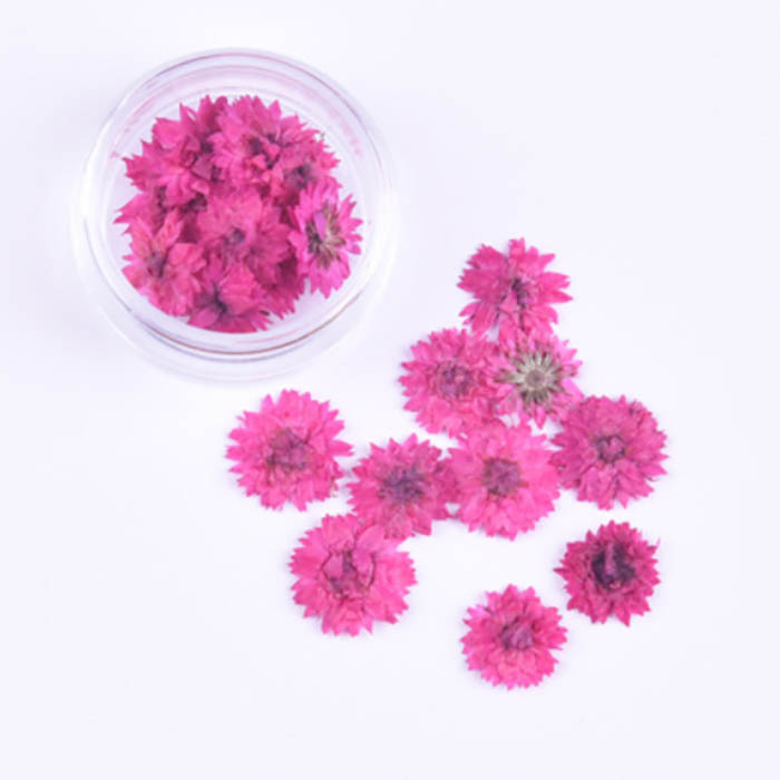 Сухоцвет "Ярко розовые мелкие цветочки", 10 мм  