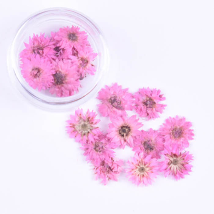 Сухоцвет "Розовые мелкие цветочки", 10 мм     