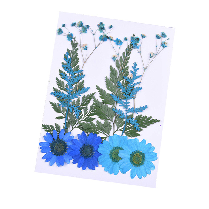 Сухоцвет "Синие сухоцветы" (2)