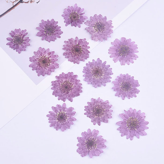 Сухоцвет "Фиолетовые цветы" (2)