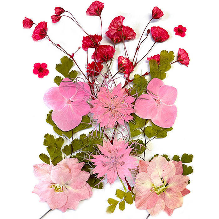 Сухоцвет "Набор розовых цветков"