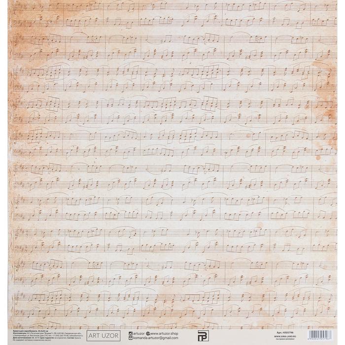Бумага для скрапбукинга «Симфония», 30.5 × 32 см, 190 гм - 2