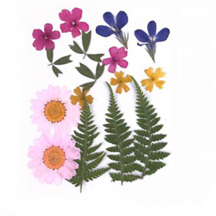 Набор сухоцветов "Розовые,малиновые,синие,желтые цветочки и веточки"  